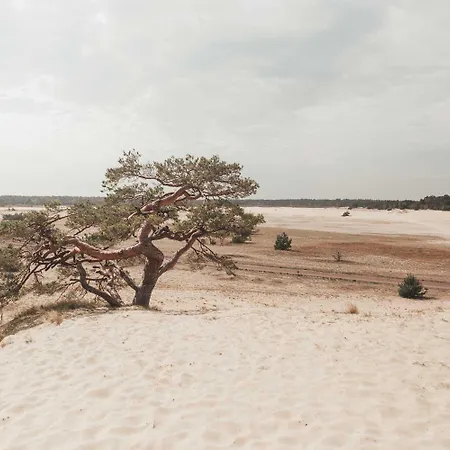 Huismus Holiday home Nunspeet