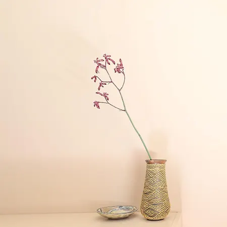 別荘 Huismus ヌンスペート